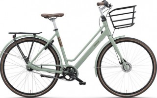 batavus oxford groen dame klassisk cykel 79 bc101889 1