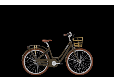 3732350250320 norden clara olivengroen